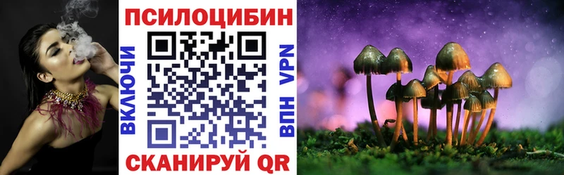Псилоцибиновые грибы MAGIC MUSHROOMS  МЕГА tor  Пущино 